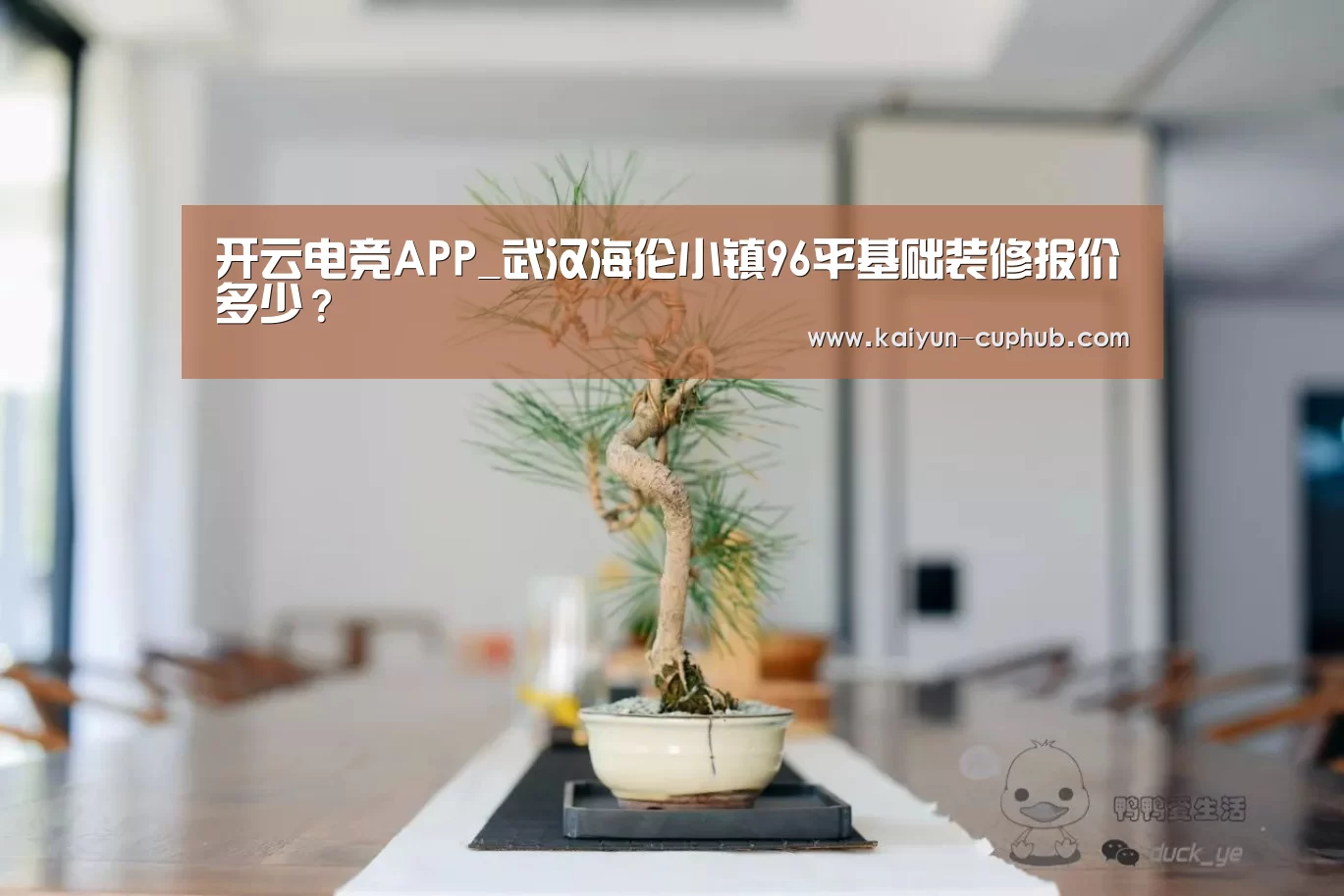 开云电竞APP