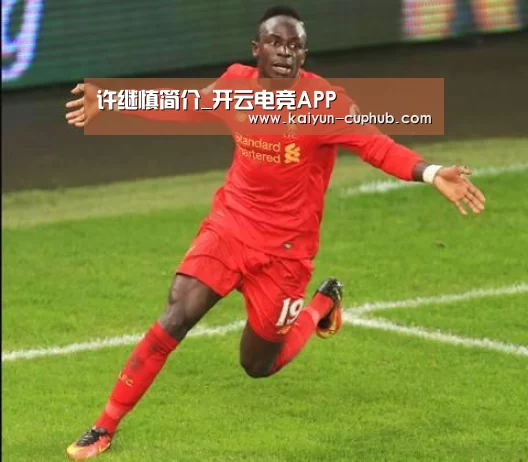 许继慎简介_开云电竞APP(图1) 开云在线娱乐